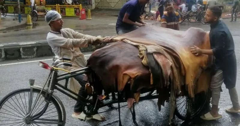 ঢাকা ও ঢাকার বাইরে কোরবানির পশুর চামড়ার দাম নির্ধারণ